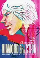 DIAMOND ERECTION/安奈