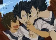 Bem-vindo, Estrela dos Sonhos!