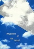 Fragments of the World / 木内智