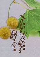 すずかける日々 / もか