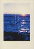 無題 / 行本
