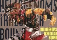 HELIOGENOMS IRREGULAR BOUND / Akiba Denki