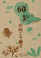60 cm from the other side / Oshise