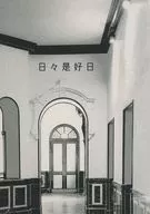 Mainichi Zekojitsu / Mame