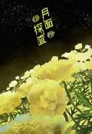 Lunar Exploration / Yu