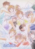 siesta / 葵シノブ