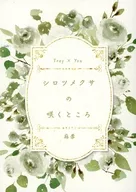 White clover in Bloom / Mugi