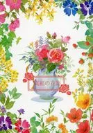 鮮紅的花影/炎音