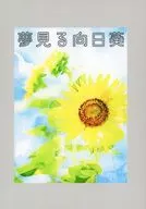 夢見る向日葵 / 花兎
