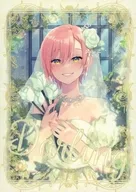 Darling / こんちは～