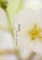 春告草/都城