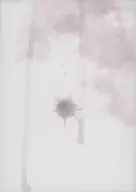 Kimi no Koe / Hikoboshi