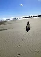 波に乗って会いに行く / kappa