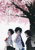 さんざくら / ダンボ