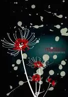 FRAGMENT 02 / 縞田 Fumiyo