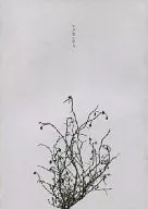 [Free Distribution Book] Magnesium / Ya