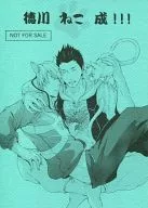 Tokugawa Neko Nari! / Uribo