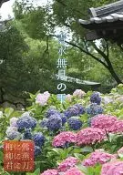 梅配鶯、柳與燕，君與刀。-青水無月之雫-/倭