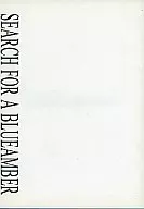 SEARCH FOR A BLUEAMBER / Yuki Isoya Mitsuyuki