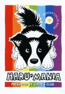 【副本】HARU MANIA/umin