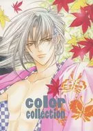 color collection / feti-O