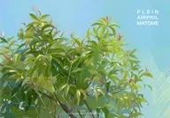 PLEIN AIRPROL MATOME / 今美千アイノ（AinoImamichi）