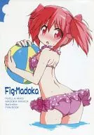 Fig-Madoka / Naito