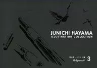 JUNICHI HAYAMA ILLUSTRATION COLLECTION Junichi Mt. Hayama Illustration Collection 3