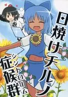 日曬チルノ綜合徵/印度僧