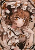 Cats / majamari