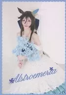 Alstoromeria