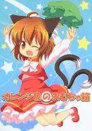 Orange Toy-Box / Pira