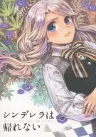 灰姑娘回不去了/小川惠