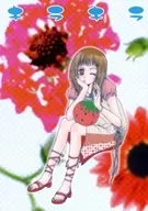 闪闪发光/藤名美和