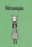 Metasequia残遗种水杉/rocou