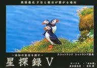 星探錄V/星旅標