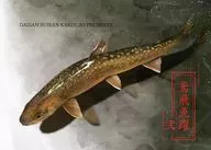 鳶飛魚躍 弐 / 鳴島かんな