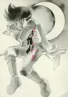 Yodaka no Hoshi / Maho Saito