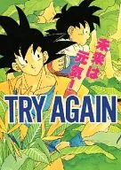 Try Again / Takada Banbi