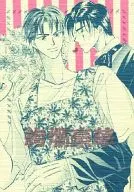 Deslumbrante / Masami