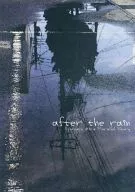 Después de la lluvia / Mizunashi 月向