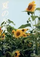 Fragmento de verano / Mari Yamatogawa