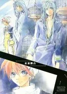 Mirai Kaiko / Shino Kazura
