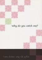 Why do you catch me? / マオ