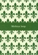 Mobius loop/汪莉