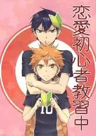 Curso de entrenamiento para principiantes en el amor / limpieza