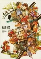 SALAD DAYS / 鴫