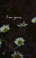 I am yours / 藤澤