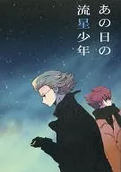 那天的流星少年