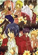 Última solución 02 / Saki Nagakura